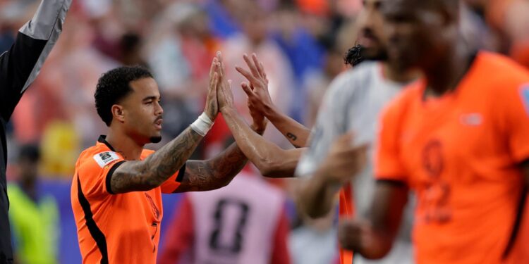 WC 2026: Netherlands Taming Tunisia to Seal Group F Summit
